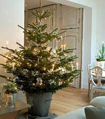 Potted Christmas Trees Make Every Room Festive Potted Christmas Trees Christmas Decorations Rustic Christmas Tree Base