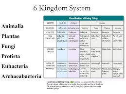 animal kingdom classification kingdom characteristics chart