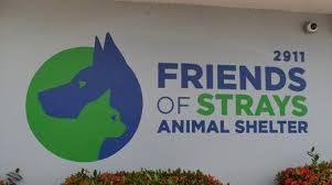 Wfts published june 30, 2021 3 views. June 2020 Friends Of Strays Animal Shelter Extras Up Close With Cathy Unruh Wedu