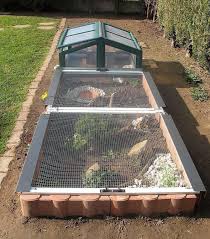Exemples Enclos Pour Bebes Ou Juveniles Recinto Per Tartaruga Tartaruga Habitat Terrario