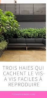 Cacher Le Vis A Vis A L Aide De Ces 3 Solutions Simples Astuce Jardin Amenagement Jardin Vis