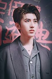 See more ideas about wang, idol, asian men long hair. Cai Xukun Wikipedia