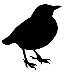 Bird On Branch Silhouette Png Black Silhouette Of Small Bird Png Black Silhouette Of Bird Png Dvmham Clipart Png Png Image 1156 1256 Pixels With Images Flying Bird Silhouette Bird Silhouette Birds