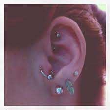 Ear Piercings 3 X Lobe Tragus Rook I Always Thought The Tragus Was Cool But Looks Too Painful Gold Earrings Dangle Spike Earrings Diamond Earrings Studs
