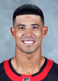 Mathieu Joseph Hockey Stats and Profile at hockeydb.com