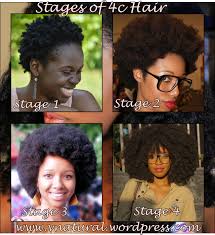 The relationship i had with my hair started off as a hate one, but then blossomed into one of love. Natural Hair Inspiration The Stages Of 4c Hair Natural Hair Journey Was Only The Beginning