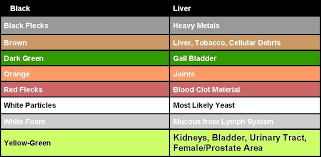 Ion Cleanse Color Chart Ion Cleanse Ionic Foot Detox