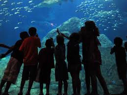 Being stuck inside doesn't have to mean being bored! Things To Do In Philadelphia 23 Kid Friendly Attractions Curbed Philly