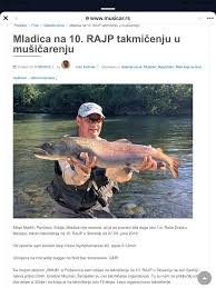 Deverika može narasti do 75 cm dužine i do 6 kg težine, a životni vek može biti i do 20 godina, mada su najčešći primerci deverike od… Slike Riba Ulovljenih U Lovostaju Musicarenje Org