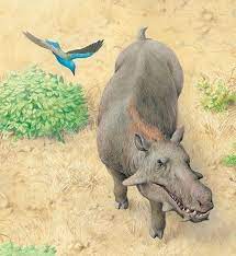 Archaeotherium By Q Files Archaeotherium Is An Extinct Genus Of Entelodont Artiodactyl Endemic To North America A Prehistoric Animals Mammals Extinct Animals