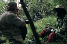 Uganda uganda's international airport is located in entebbe, making it a great place to spend a day or two on your way in or out of the country. Uganda Reisen 2020 Ruanda Heimat Der Gorillas