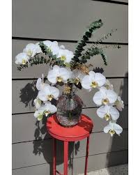 +7(495) 411 11 21 or by sending a letter via e.email: Stockton Florist Flower Delivery By Silveria S Flowers Gifts