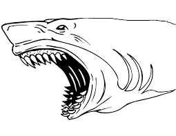 Themes may include color posters and web. Free Printable Shark Coloring Pages Coloring Home