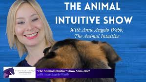 The Animal Intuitive®