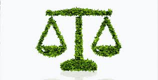 Le juriste est le seul à pouvoir renseigner au mieux entreprises. Juriste En Droit De L Environnement La Fiche Metier Sur Orientation Education