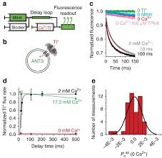 Cabral 400 mg 24 film tablet kısa ürün bilgisi i̇çeriği. Calcium Ions Open A Selectivity Filter Gate During Activation Of The Mthk Potassium Channel Nature Communications