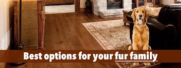 Maybe you would like to learn more about one of these? Choosing The Best Hardwood Floors For Dogs 3 Factors You Must Conside Gaylord Flooring