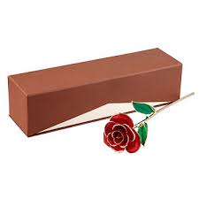 We did not find results for: 24k Gold Dipped Red Rose Jcpenney