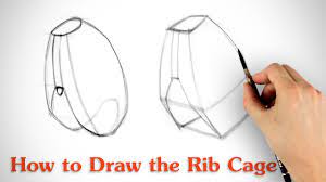 I always like to start my drawings with the biggest shapes first. How To Draw The Rib Cage Human Anatomy For Artists Youtube
