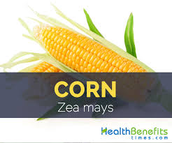 Maybe you would like to learn more about one of these? Corn Facts Health Benefits And Nutritional Value