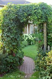 Pin On Garden Designs