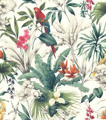 Bird Of Paradise By Accessorize Multi Coloured Wallpaper Wallpaper Direct Paradise Wallpaper Bird Wallpaper Colorful Wallpaper