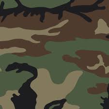 Image result for Olive Drab 1990 US Government
