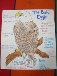 Pin By The Teacher Bag On American Symbols Fun American Symbols Unit American Symbols Patriotic Symbols