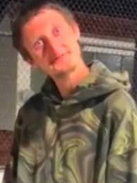 Daniel Arends Flikkershirt