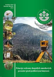 Zistite si predpoveď počasia v bratislave. Pdf Principy Ochrany Dospelych Smrekovych Porastov Pred Podkornym Hmyzom