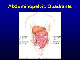 If you plan to enter a healthcare profession such as nursing. The Human Body Concepts Of Anatomy And Physiology