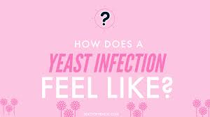 Making an appointment with your doctor should be the first item on your list for treating a yeast infection. Pin On Yeast Infections