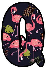 Birds That Start With The Letter Q Buchstabe Letter Q With Images Flamingo Alphabet Lettering