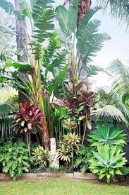 Pin On Tropical Garden