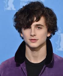 This May Be Timothee Chalamet S Best Hair Look Yet