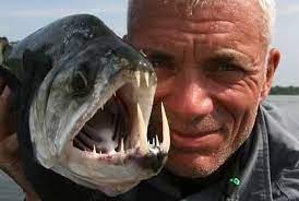 Animal Planet reality series 'River Monsters' ended because star Jeremy Wade  was able to catch essentially every exceptionally large freshwater fish  species on earth, leaving no remaining content for the show. :