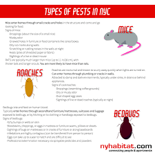 It can be ac but dc provide a stable environment to get reliable results. Tips For Keeping Your Nyc Apartment Pest Free New York Habitat Blog