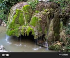 Unic Beautiful Bigar Image Photo Free Trial Bigstock