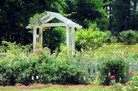From sweet peas to larkspur and roses, you'll fall in love with these plants. 6 Flowers For The Cottage Garden