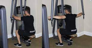 We did not find results for: Reverse Pec Deck The Optimal You Online Personal Trainers Holistic Nutrition