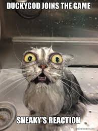Duckygod Joins The Game Sneaky S Reaction Cat Bath Make A Meme