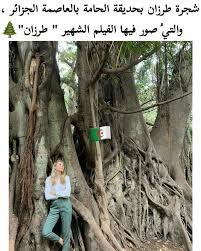 الجزائر In 2020 Cool Places To Visit Quotes For Book Lovers Algeria
