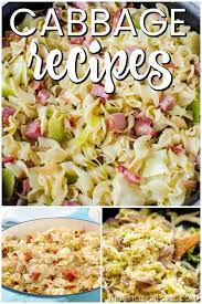 Cabbage Dinner Recipes Best Cabbage Recipe Cabbage Recipes Vegetable Recipes