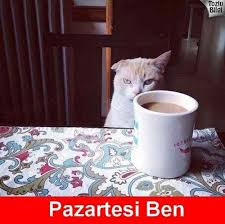 Pazartesi Sendromu Komik Komik Komik Seyler Komik Alintilar