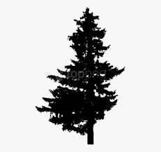 Transparent Pine Tree Silhouette Png Png Download Kindpng