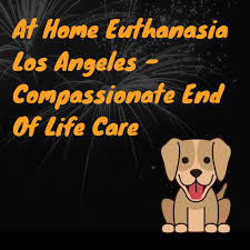 Maybe you would like to learn more about one of these? At Home Euthanasia Los Angeles Compassionate End Of Life Care