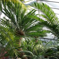 Loki Schmidt Garten In Klein Flottbek Hamburg Creme Guides In 2020 Loki Schmidt Hamburg Flora Und Fauna