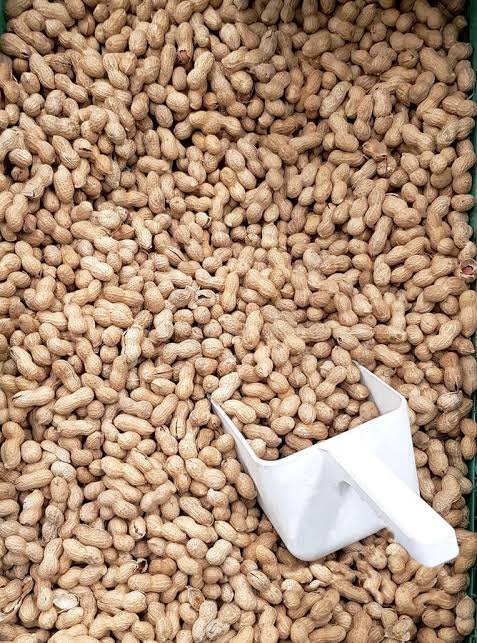Bulk Peanuts Supplier South Africa
