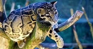 Check spelling or type a new query. Zoo Dortmund Startseite