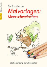 Ausmalbilder meerschweinchen kostenlos ausdrucken, 2021 free download. Kostenlose Ausmalbilder Und Malvorlagen Meerschweinchen Zum Ausmalen Und Ausdrucken